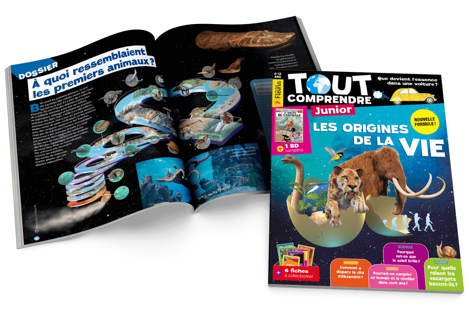 Tout Comprendre Junior