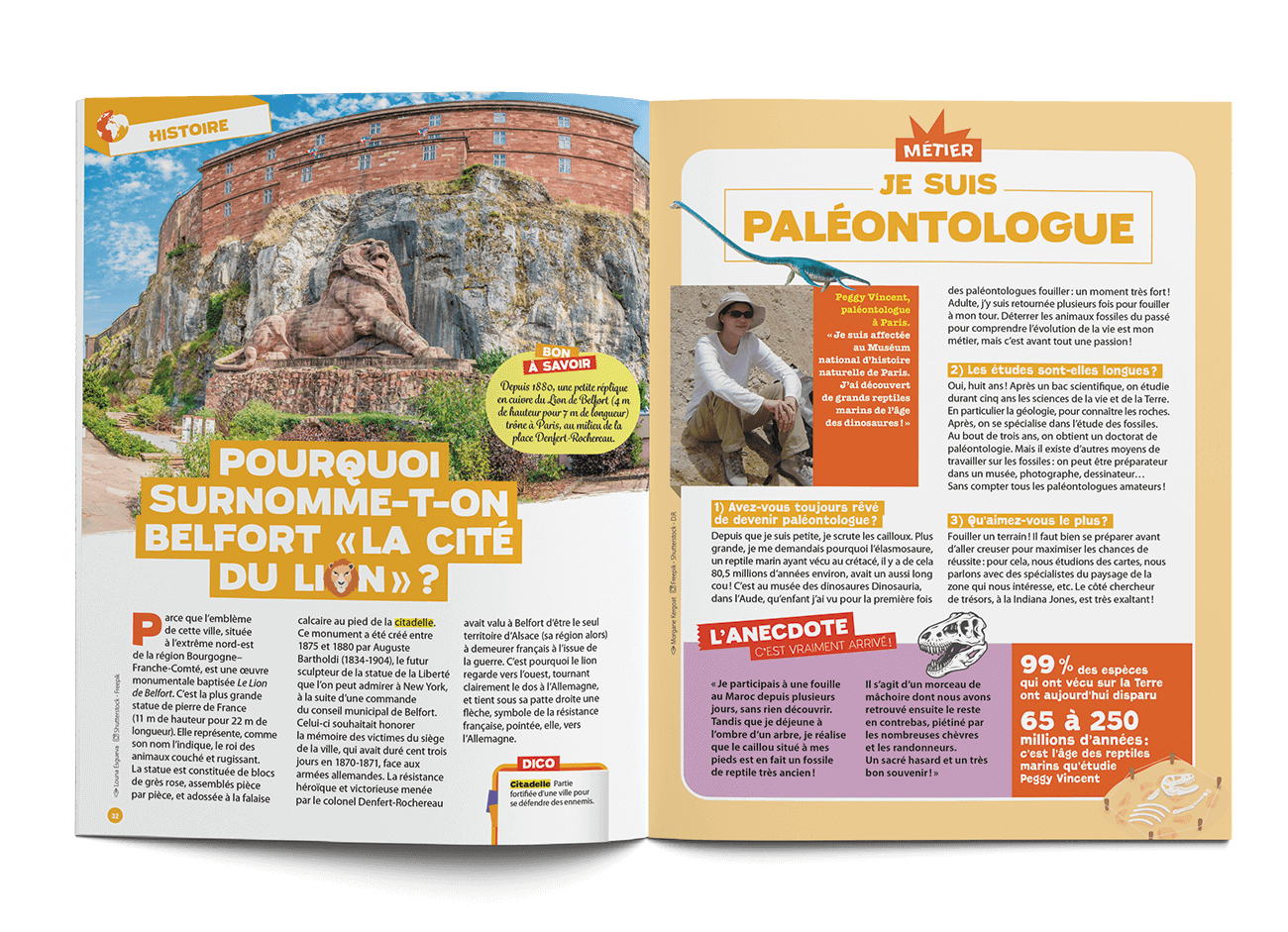 Tout Comprendre Junior