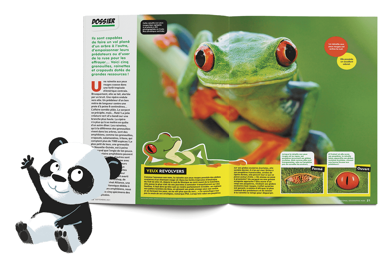 National Geographic Kids