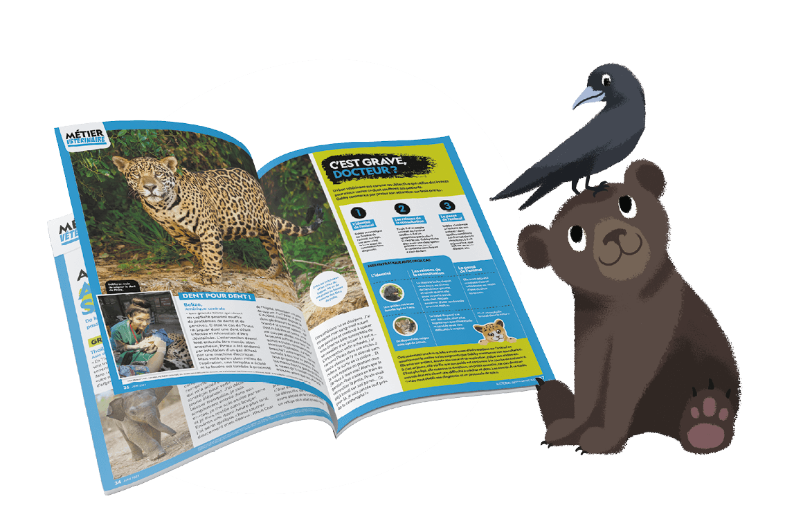 National Geographic Kids