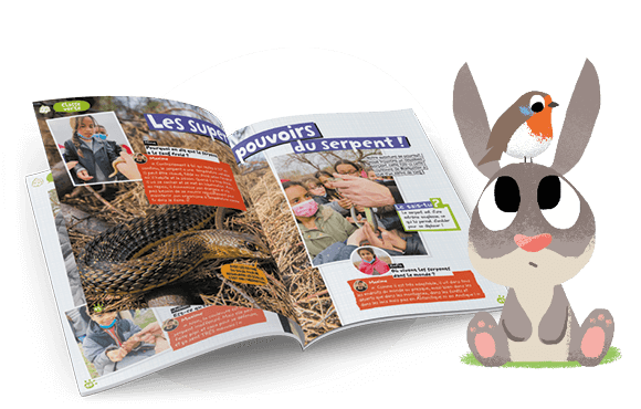 Pirouette Tout sur les animaux
